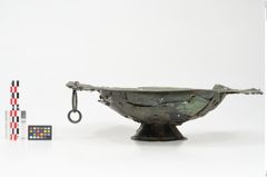 Foto von Bronzebreitrandfußschale (NHMW-PRAE-025740)